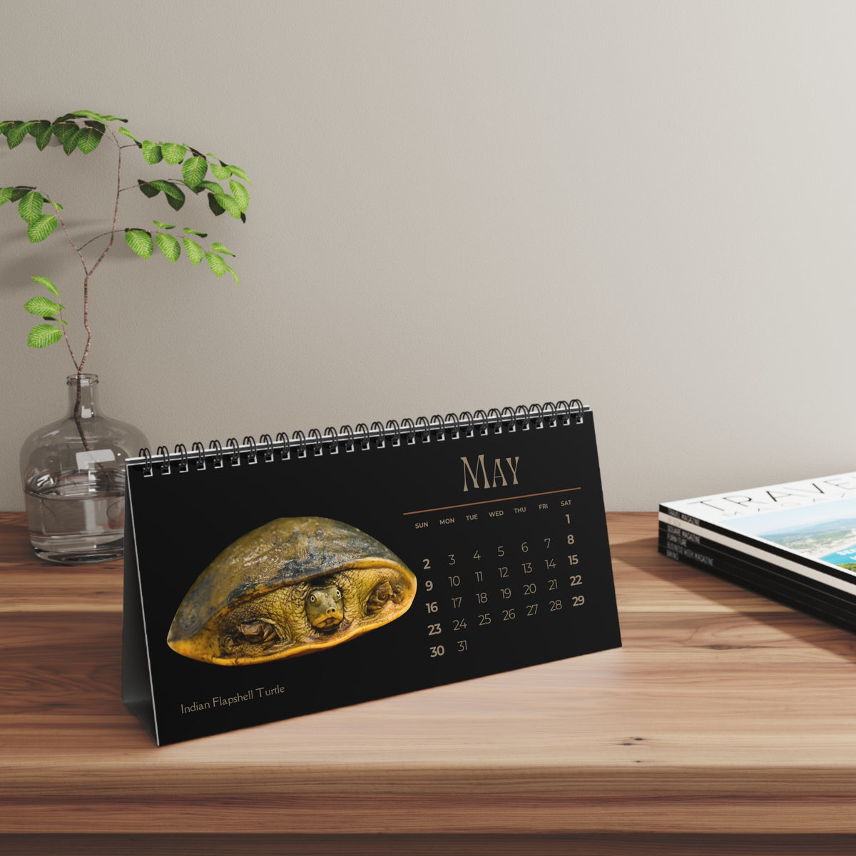 Toughest Turtles of 2027 Desktop Calendar