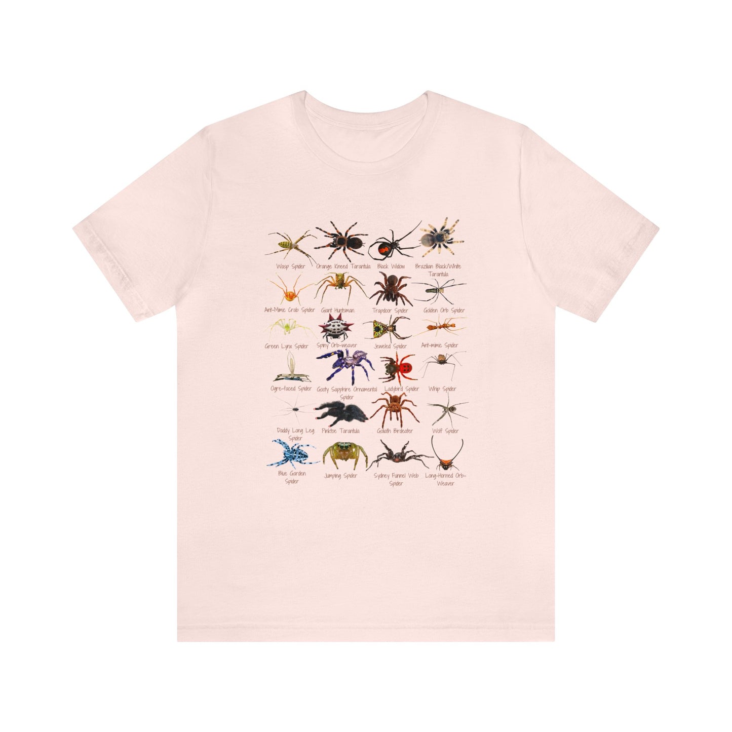 Stupendous Spiders T-shirt with 24 unique spiders