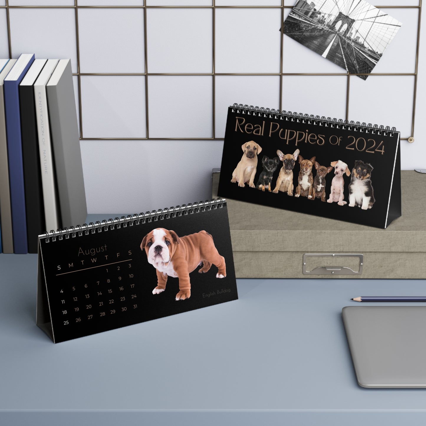 Real Puppies of 2024 Desk Calendar
