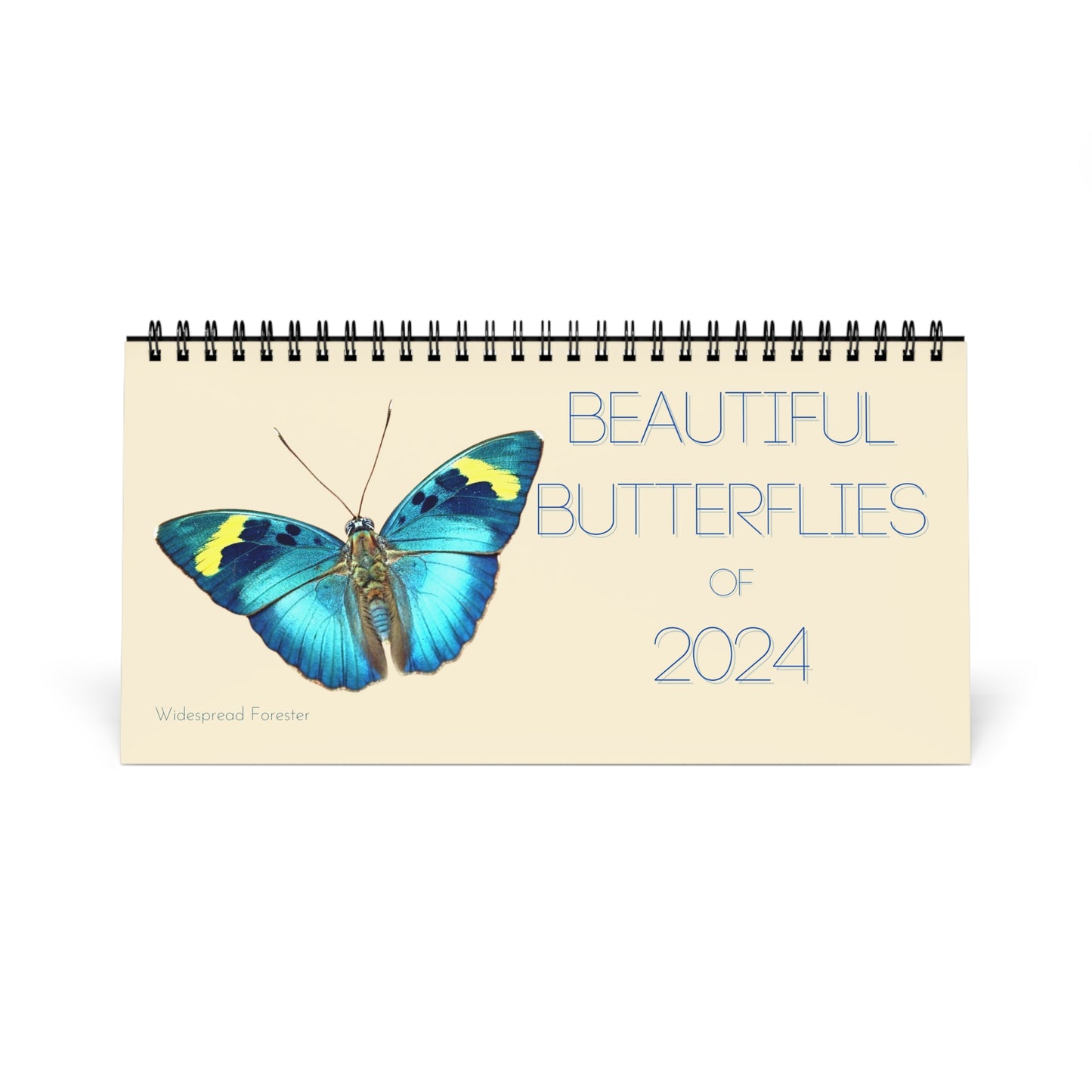 Beautiful Butterflies of 2024 Desk Calendar