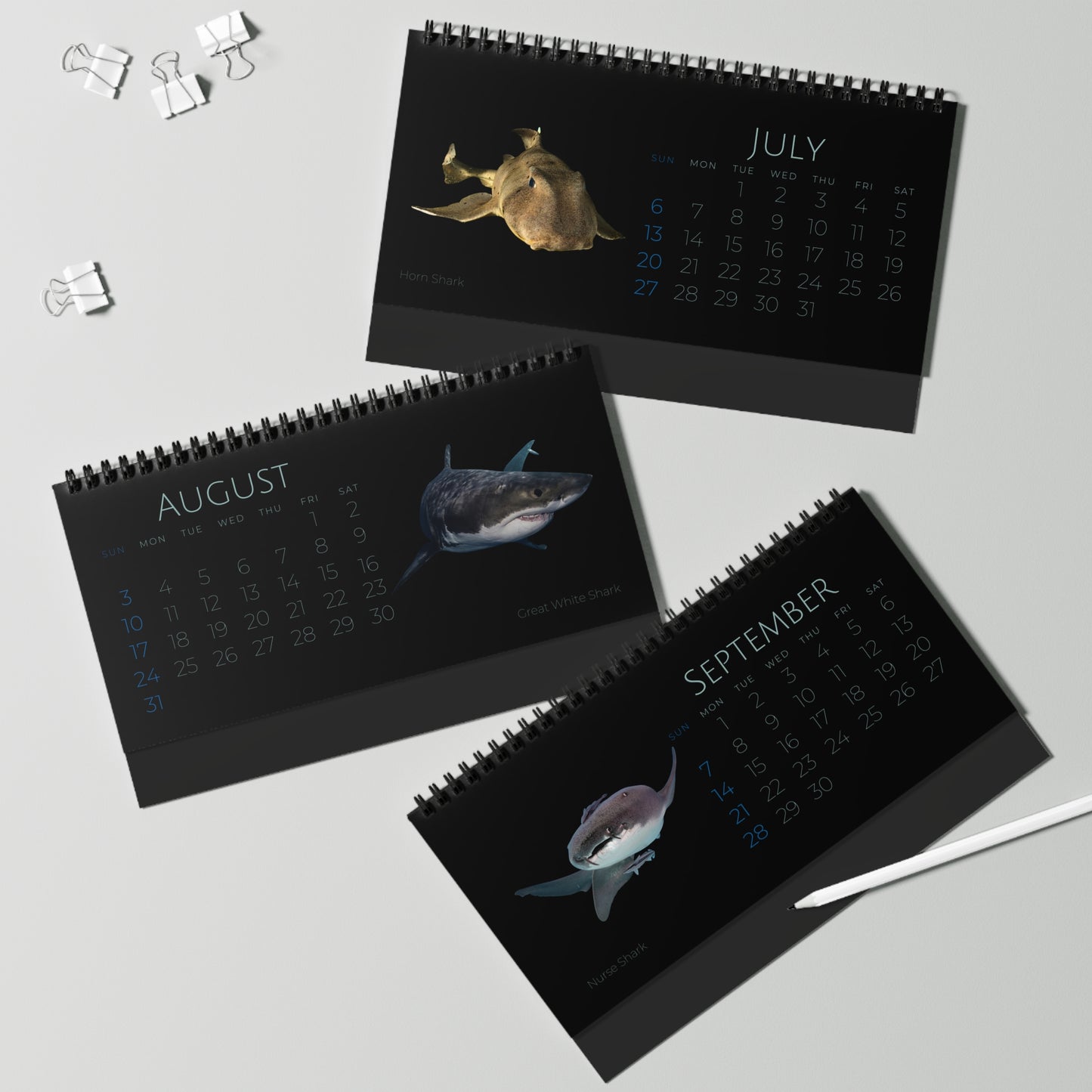 Sharks & Rays of 2025 Desktop Calendar