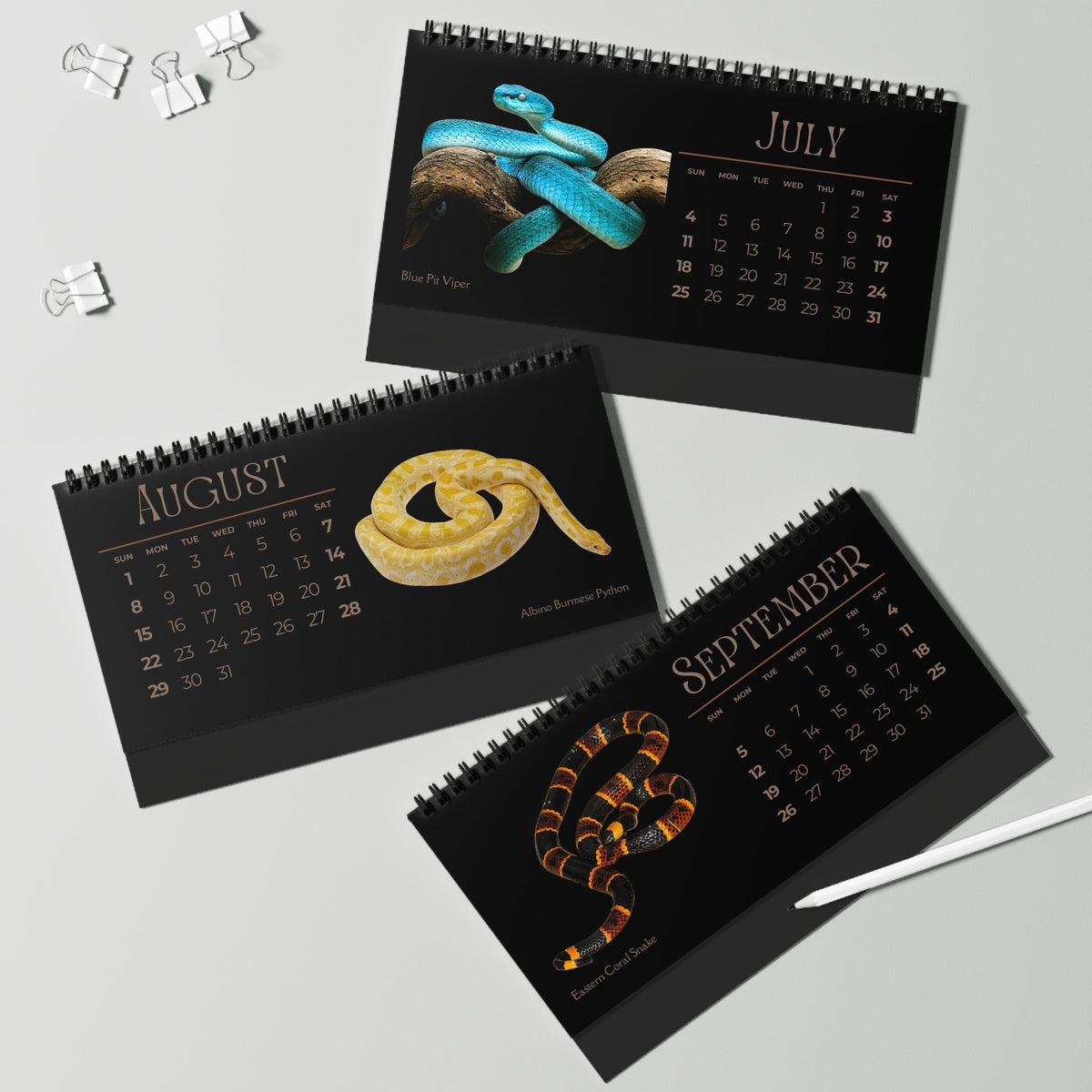 Striking Snakes of 2027 Desktop Calendar