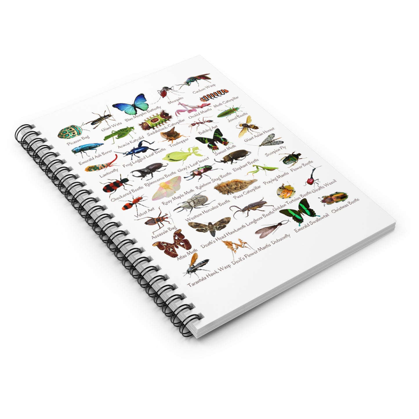 Impressive Insects Spiral Notebook - Ruled Line