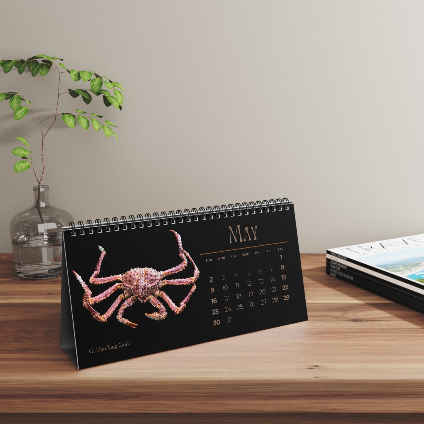 Captivating Crabs of 2027 Desktop Calendar