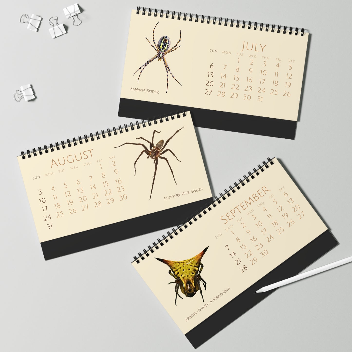 Spiders of 2025 Desktop Calendar