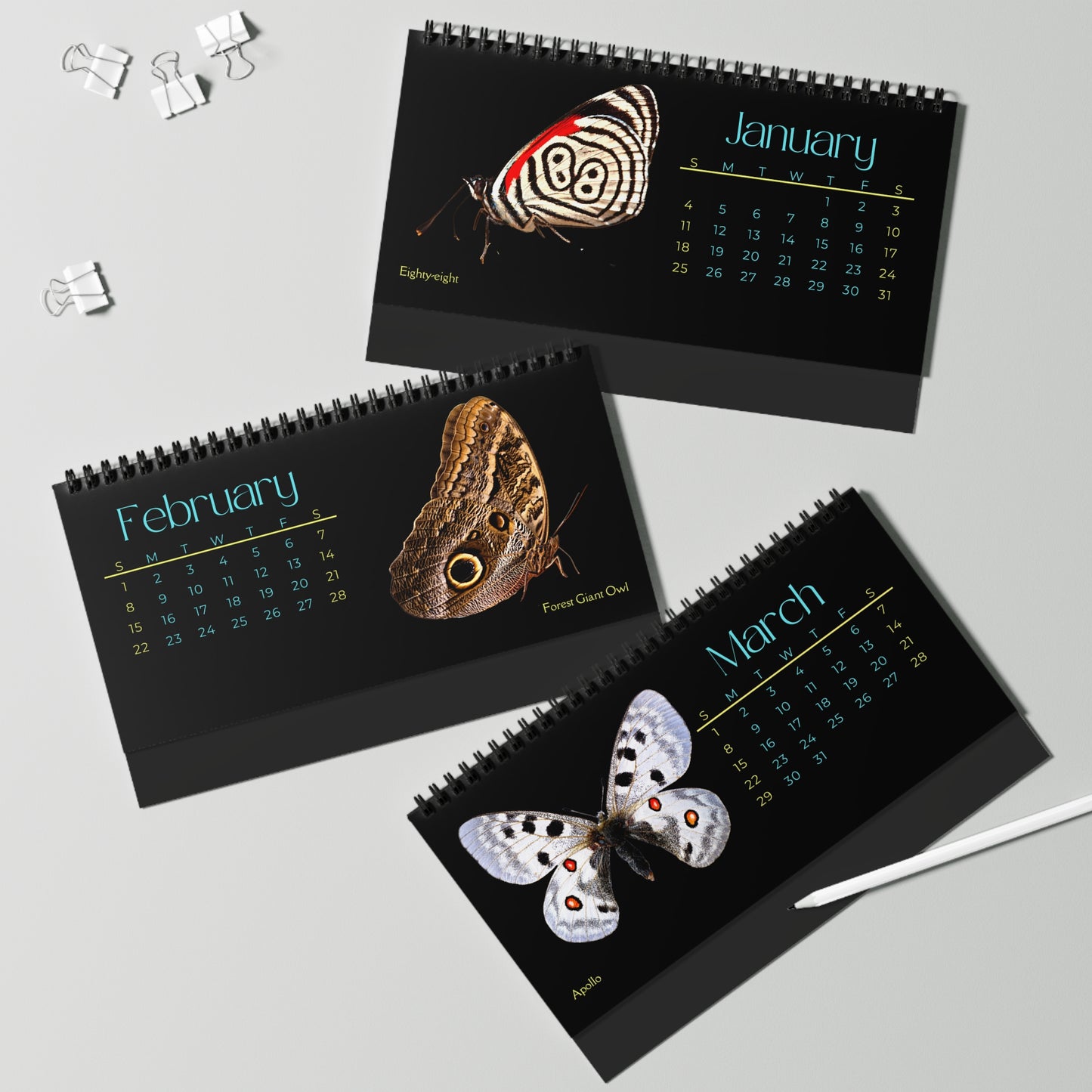 Beautiful Butterflies of 2026 Desktop Calendar