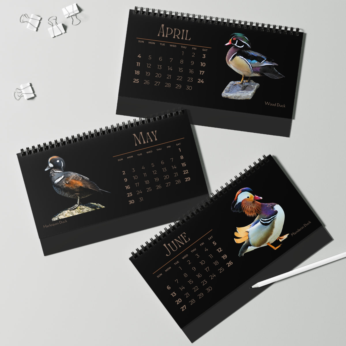 Dapper Ducks of 2027 Desktop Calendar