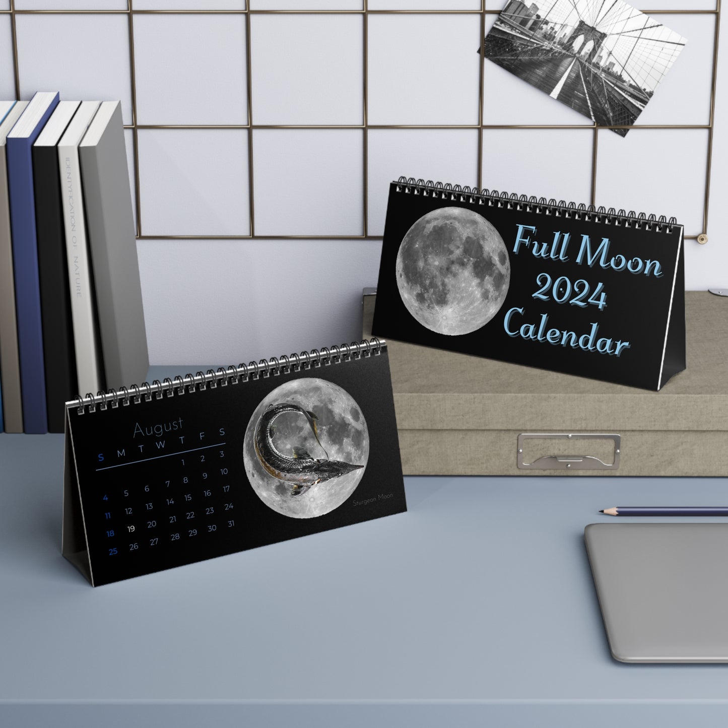 Full Moon 2024 Desk Calendar