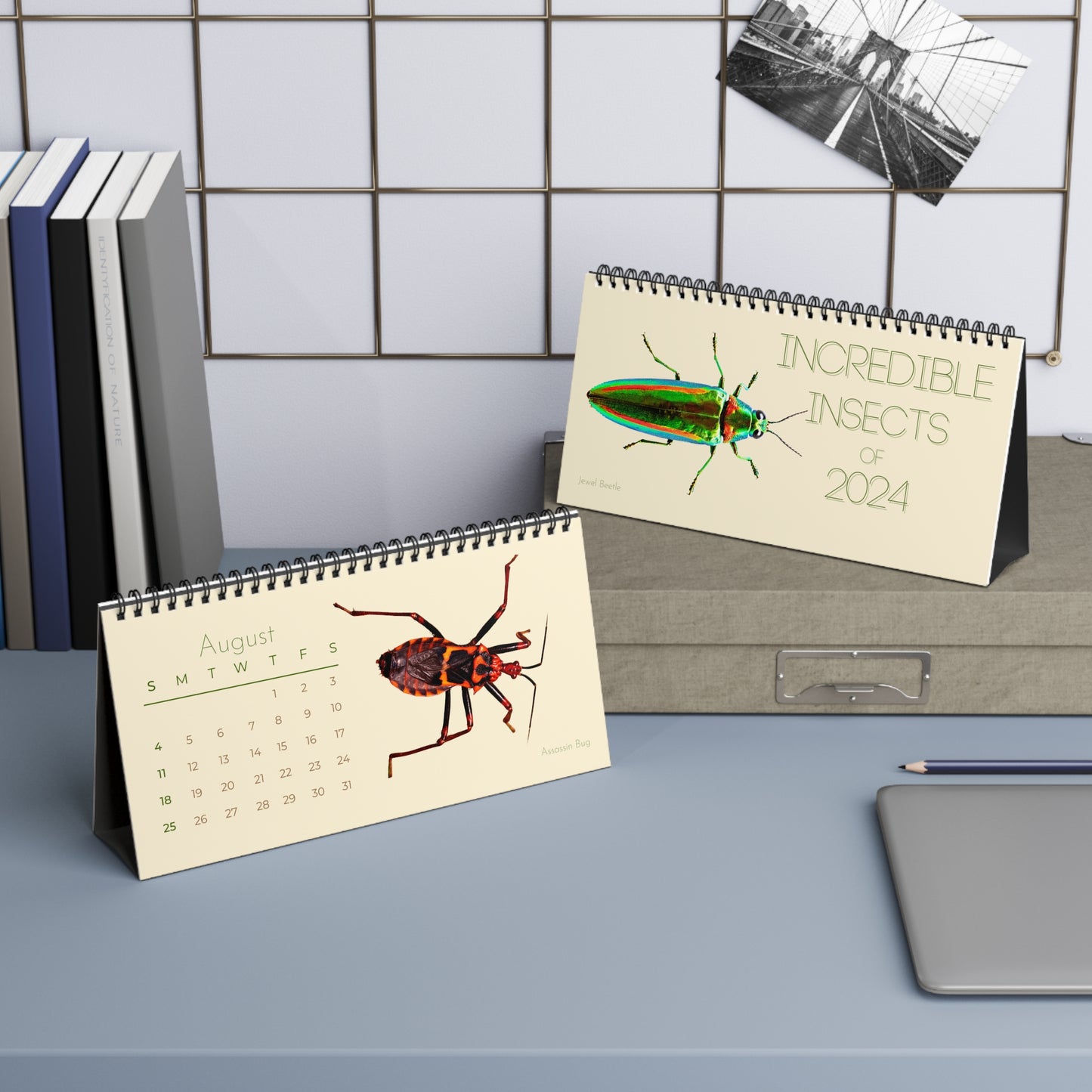 Incredible Insects of 2024 Desk Calendar