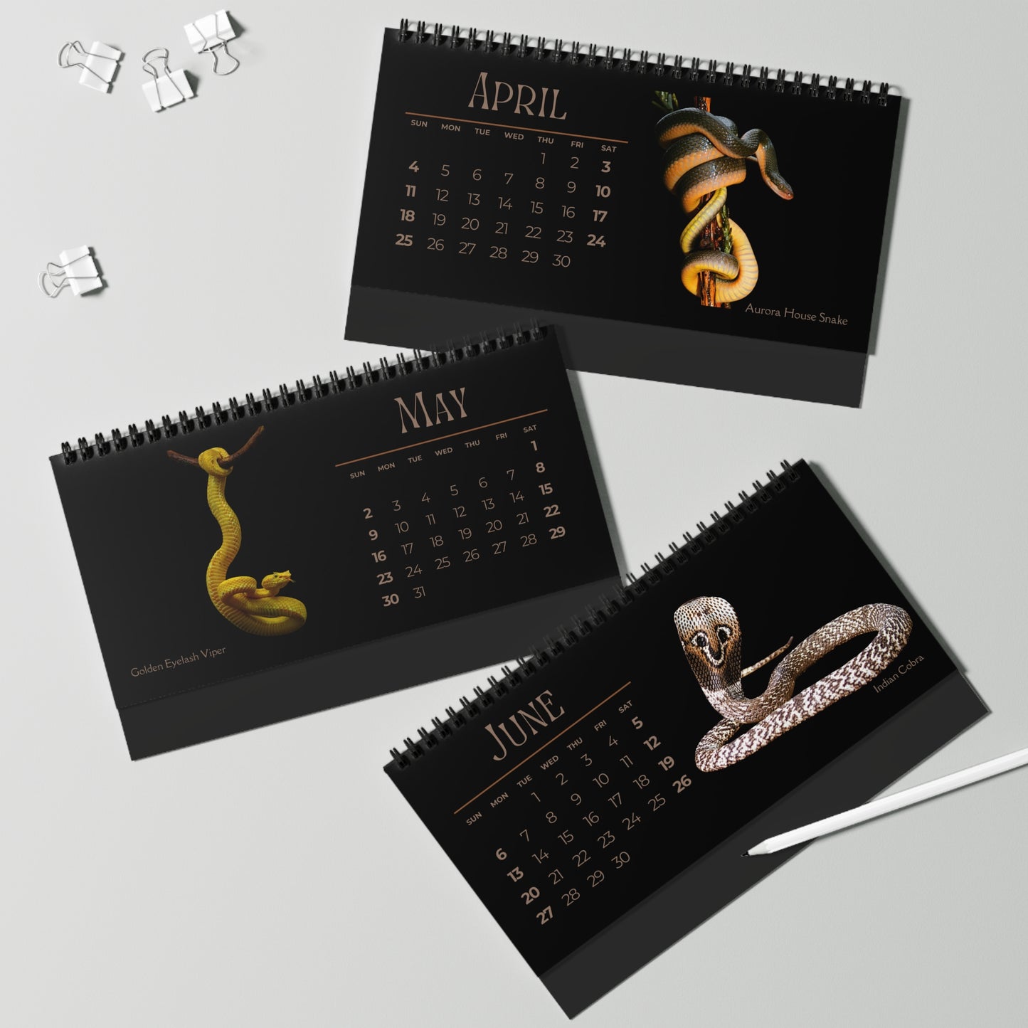 Striking Snakes of 2027 Desktop Calendar
