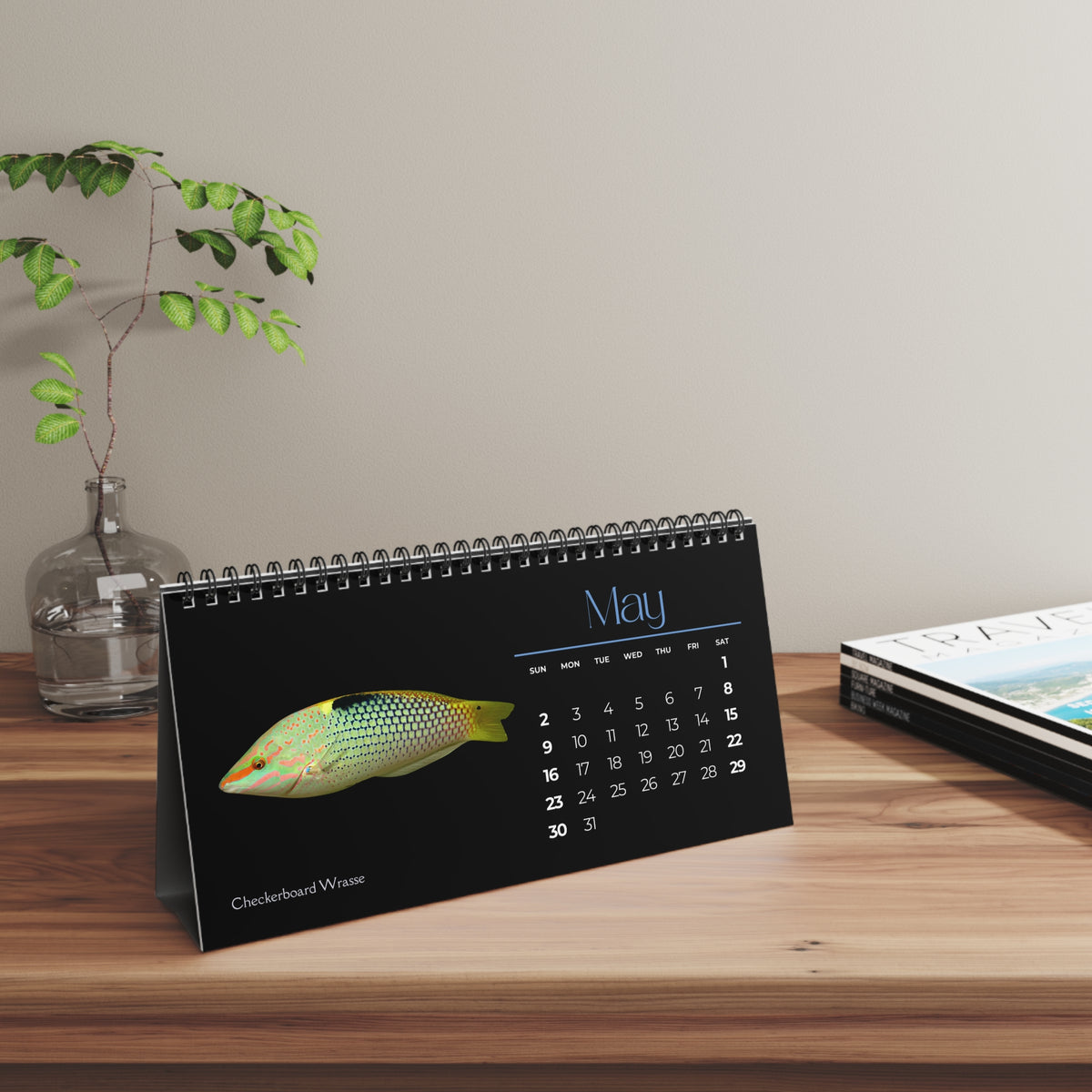 Fabulous Fish of 2027 Desktop Calendar