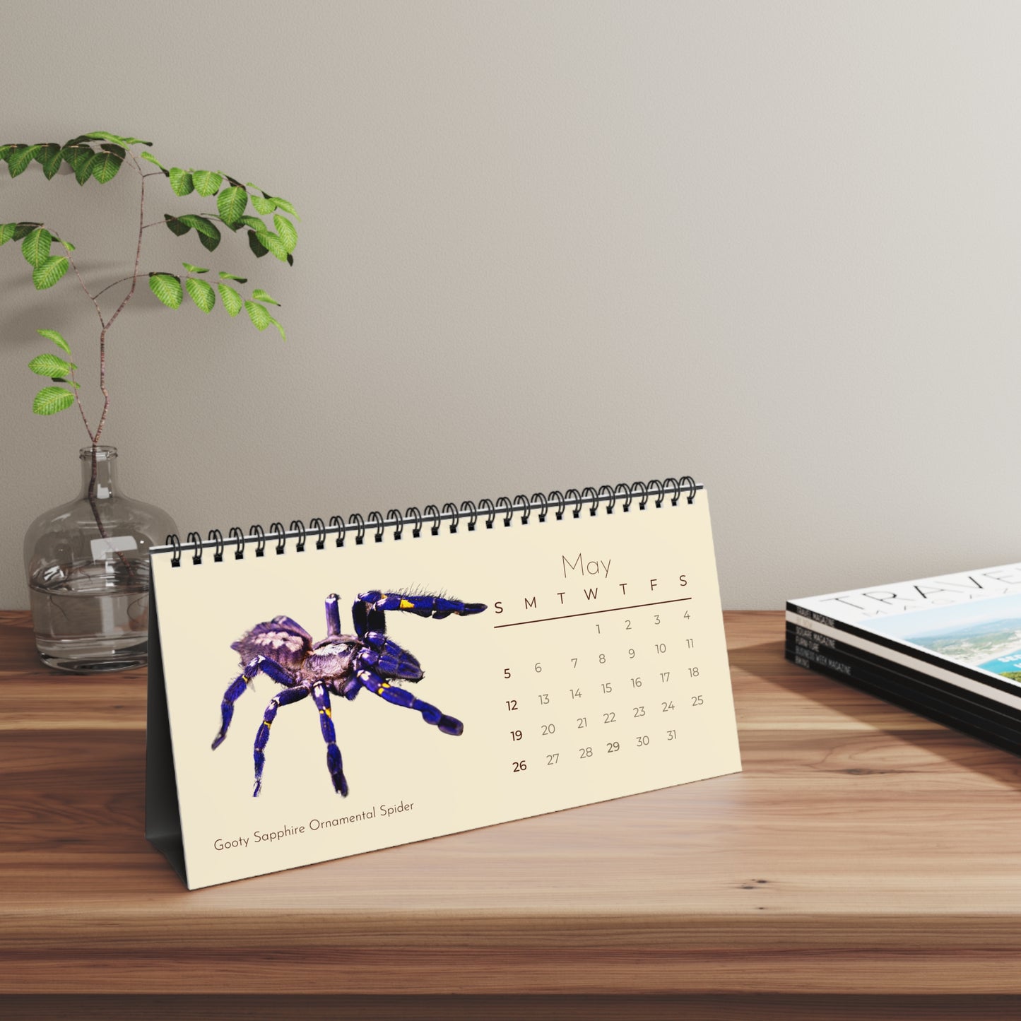 Spiders of 2024 Desk Calendar
