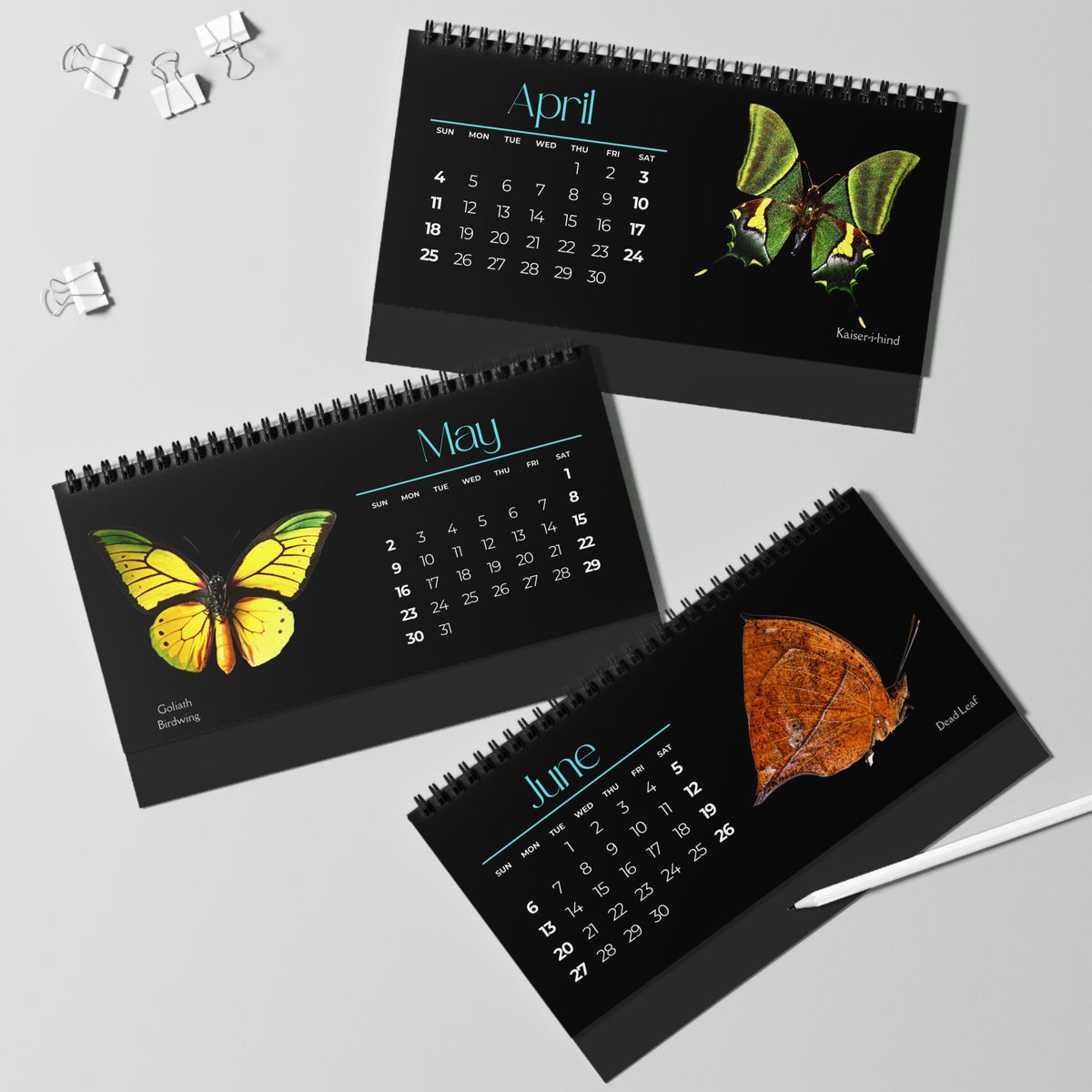 Beautiful Butterflies of 2027 Desktop Calendar