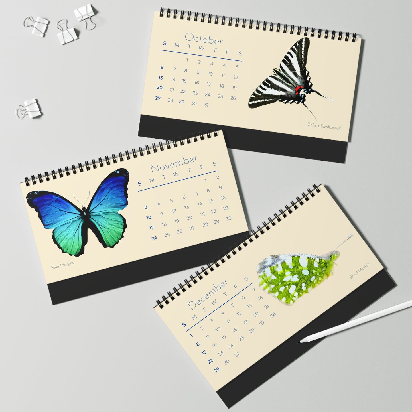 Beautiful Butterflies of 2024 Desk Calendar