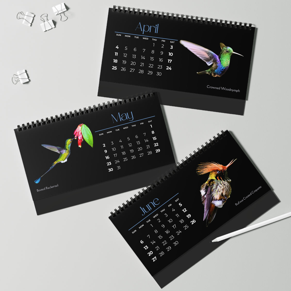 Real Hummingbirds of 2027 Desktop Calendar