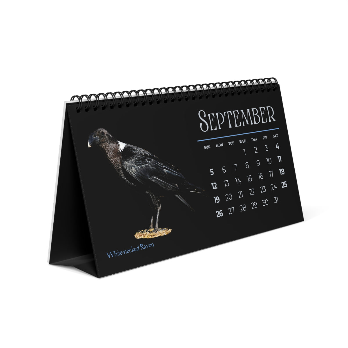 Cool Corvids of 2027 Desktop Calendar