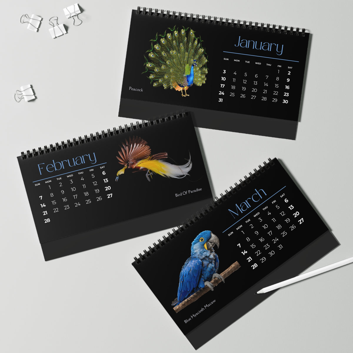 Brilliant Birds of 2027 Desktop Calendar