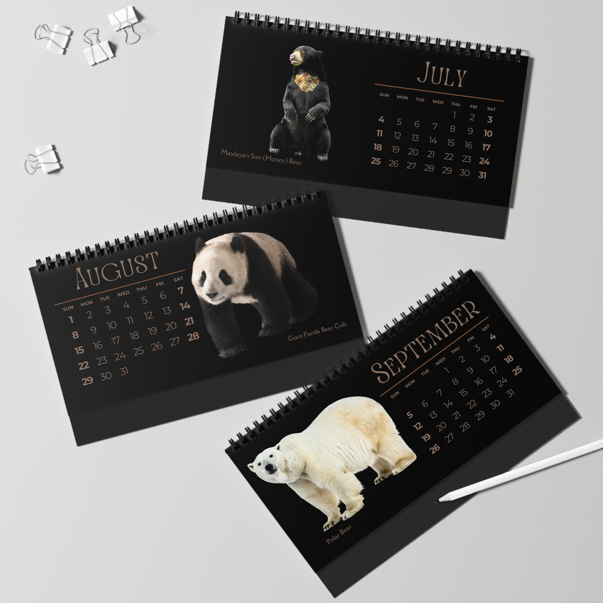 Bodacious Bears of 2027 Desktop Calendar