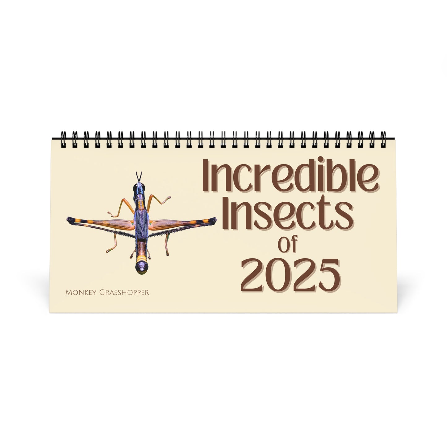 Incredible Insects of 2025 Desktop Calendar