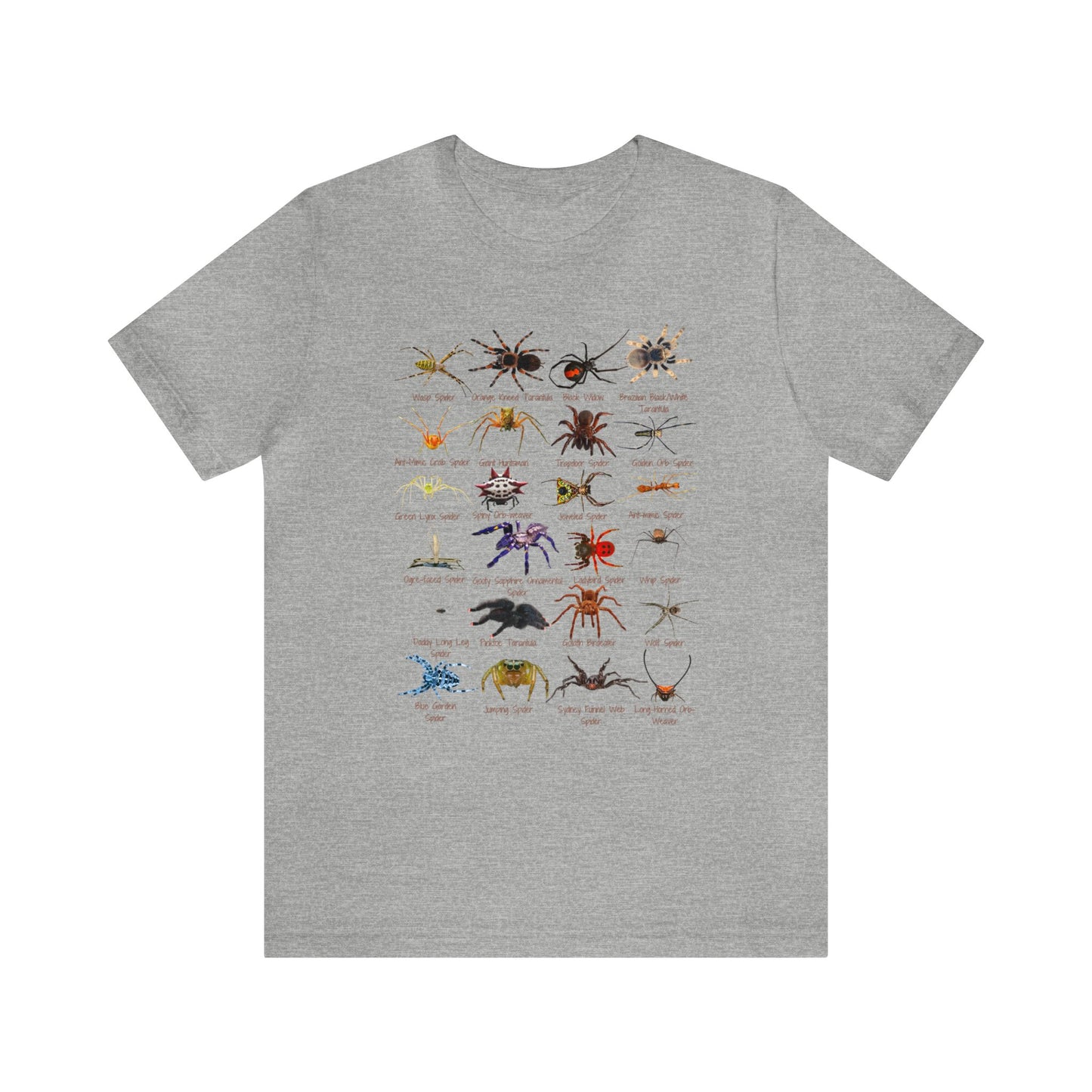 Stupendous Spiders T-shirt with 24 unique spiders