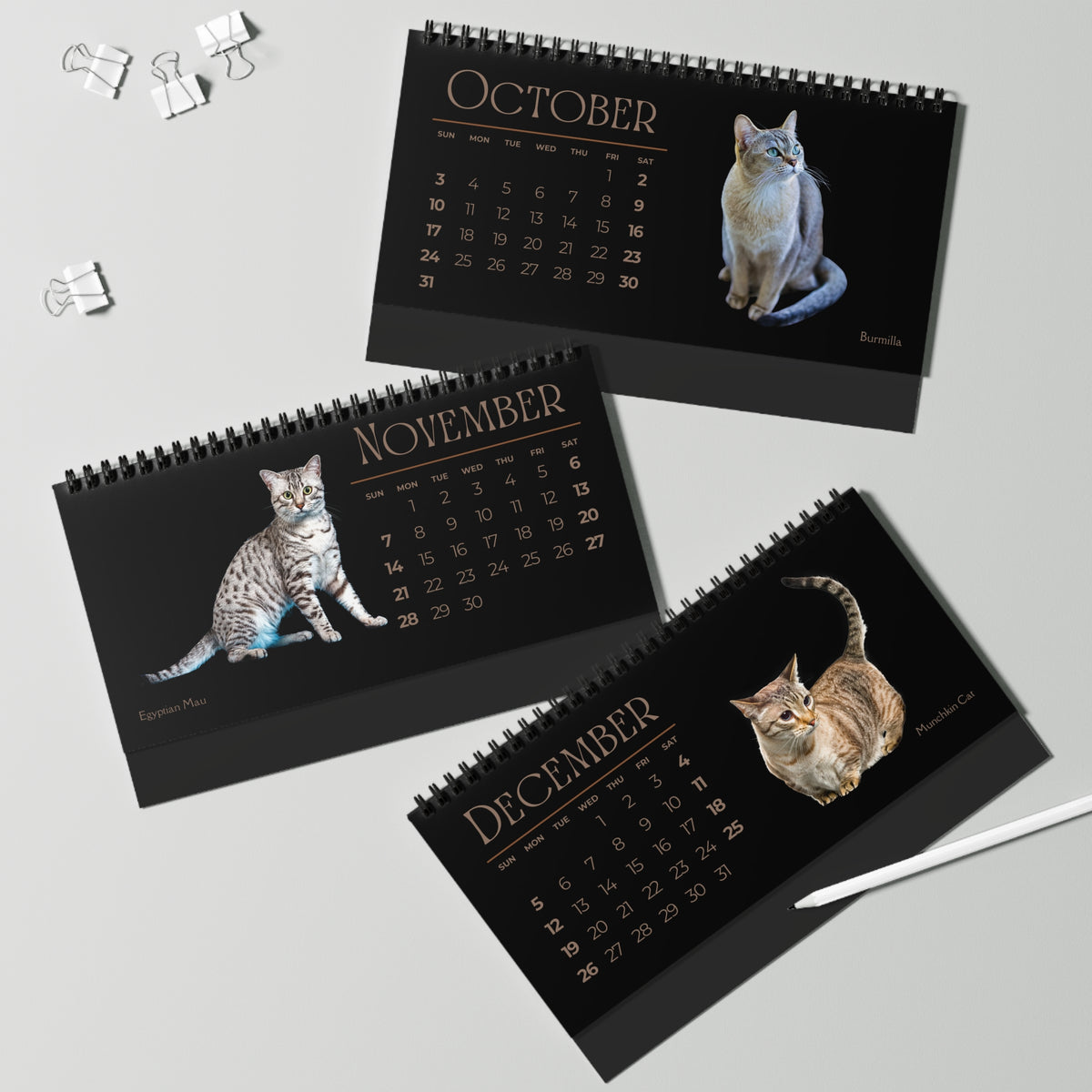 Fantastic Felines of 2027 Desktop Calendar