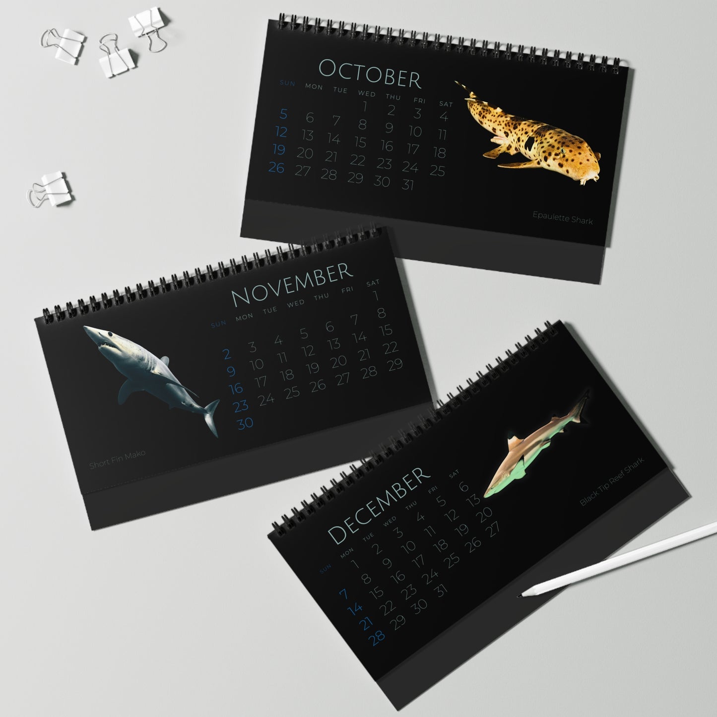 Sharks & Rays of 2025 Desktop Calendar