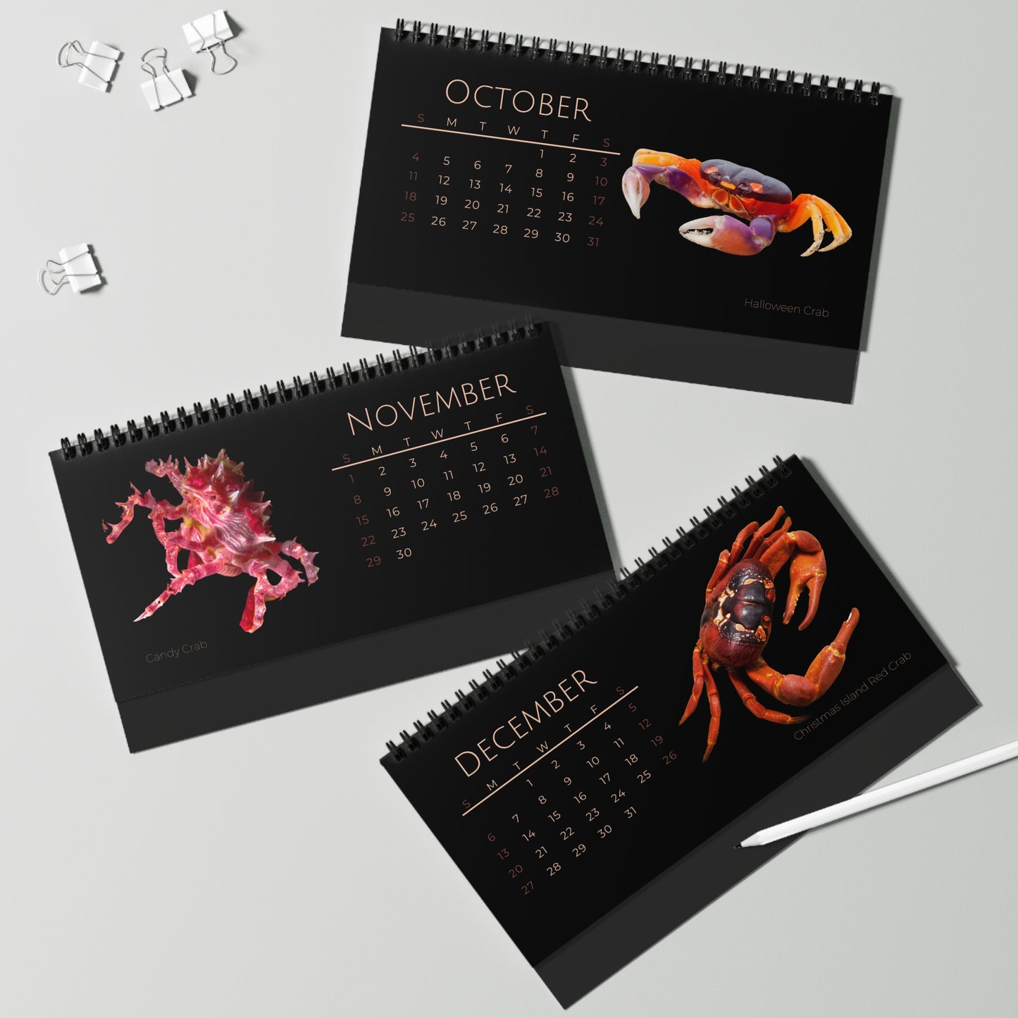 Captivating Crabs of 2026 Desktop Calendar