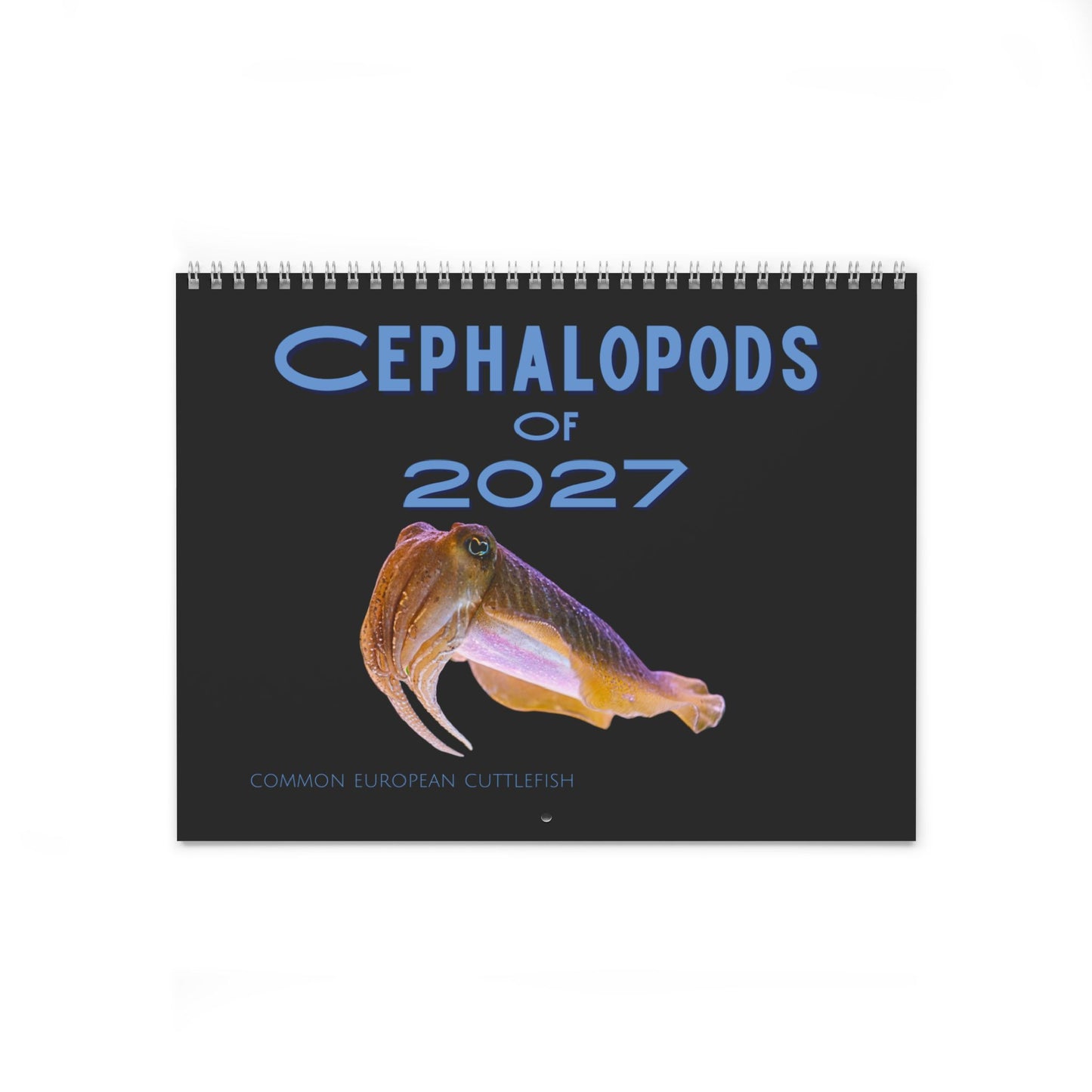 Cephalopods of 2027 Wall Calendars