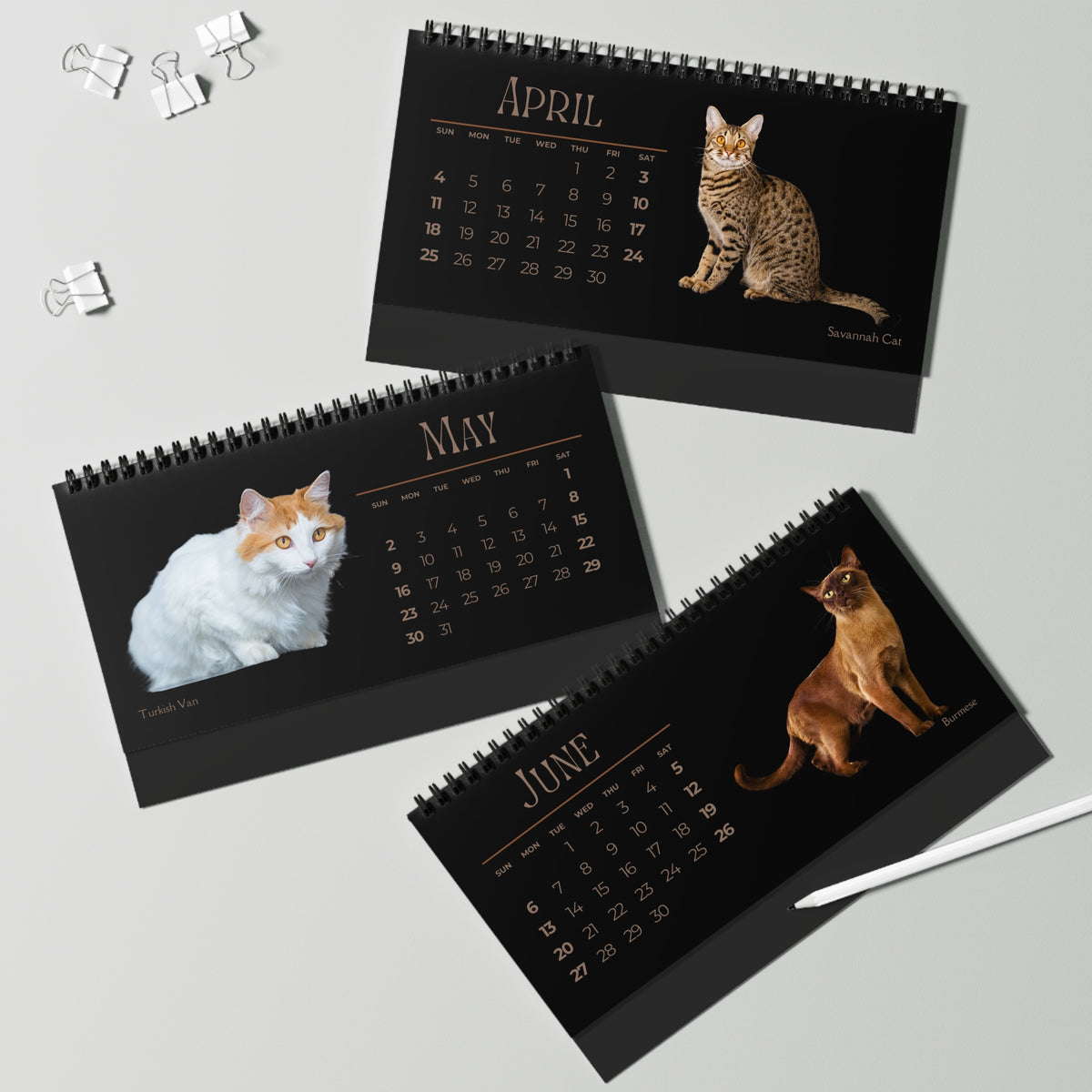Fantastic Felines of 2027 Desktop Calendar