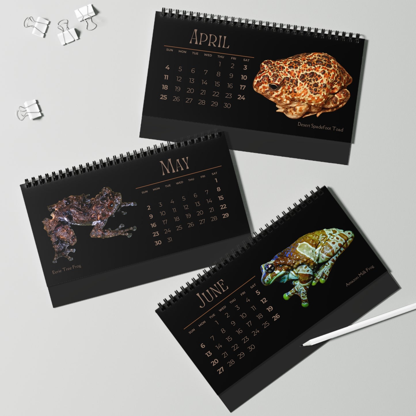 Frogs & Toads of 2027 Desktop Calendar