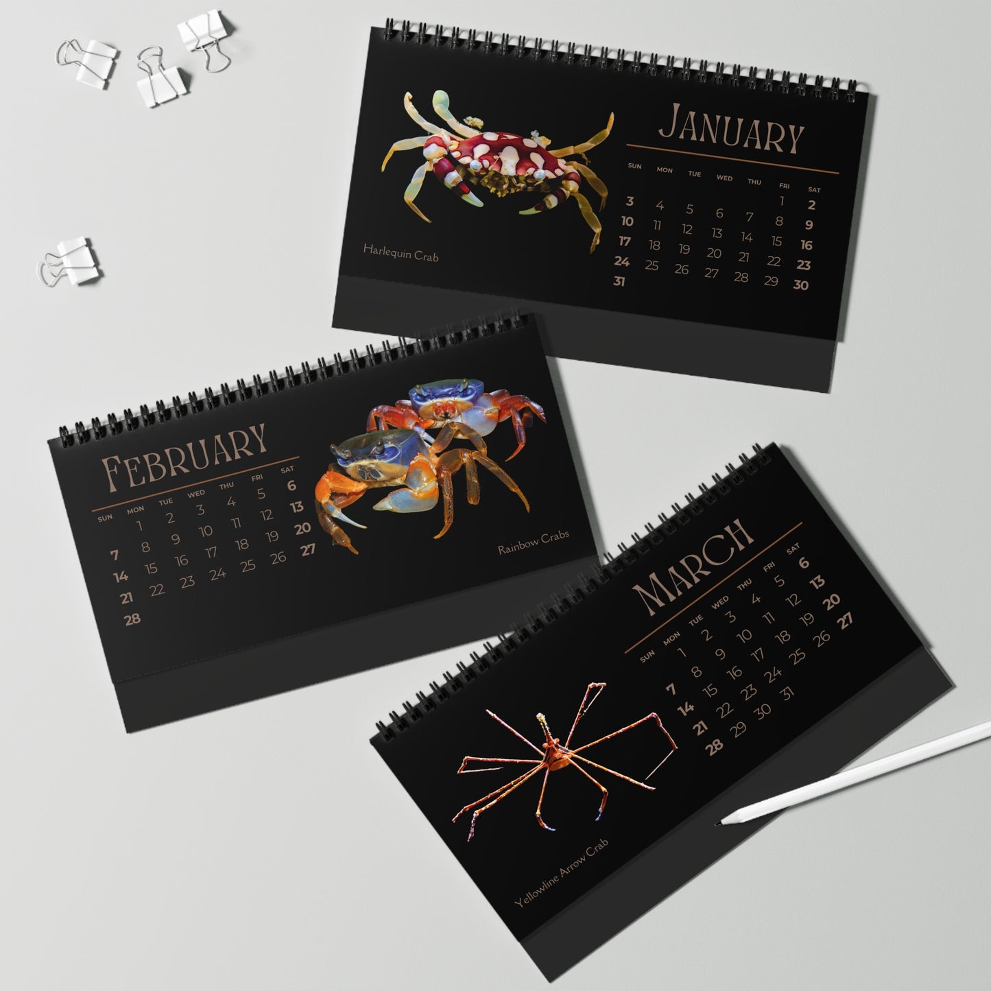 Captivating Crabs of 2027 Desktop Calendar