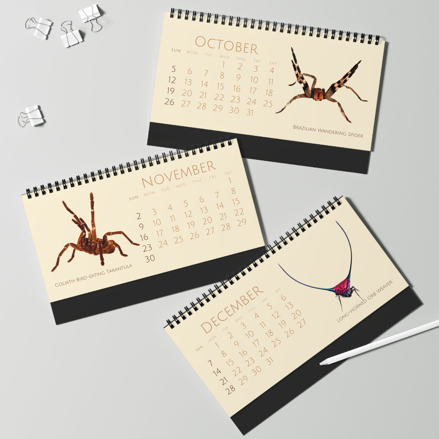 Spiders of 2025 Desktop Calendar