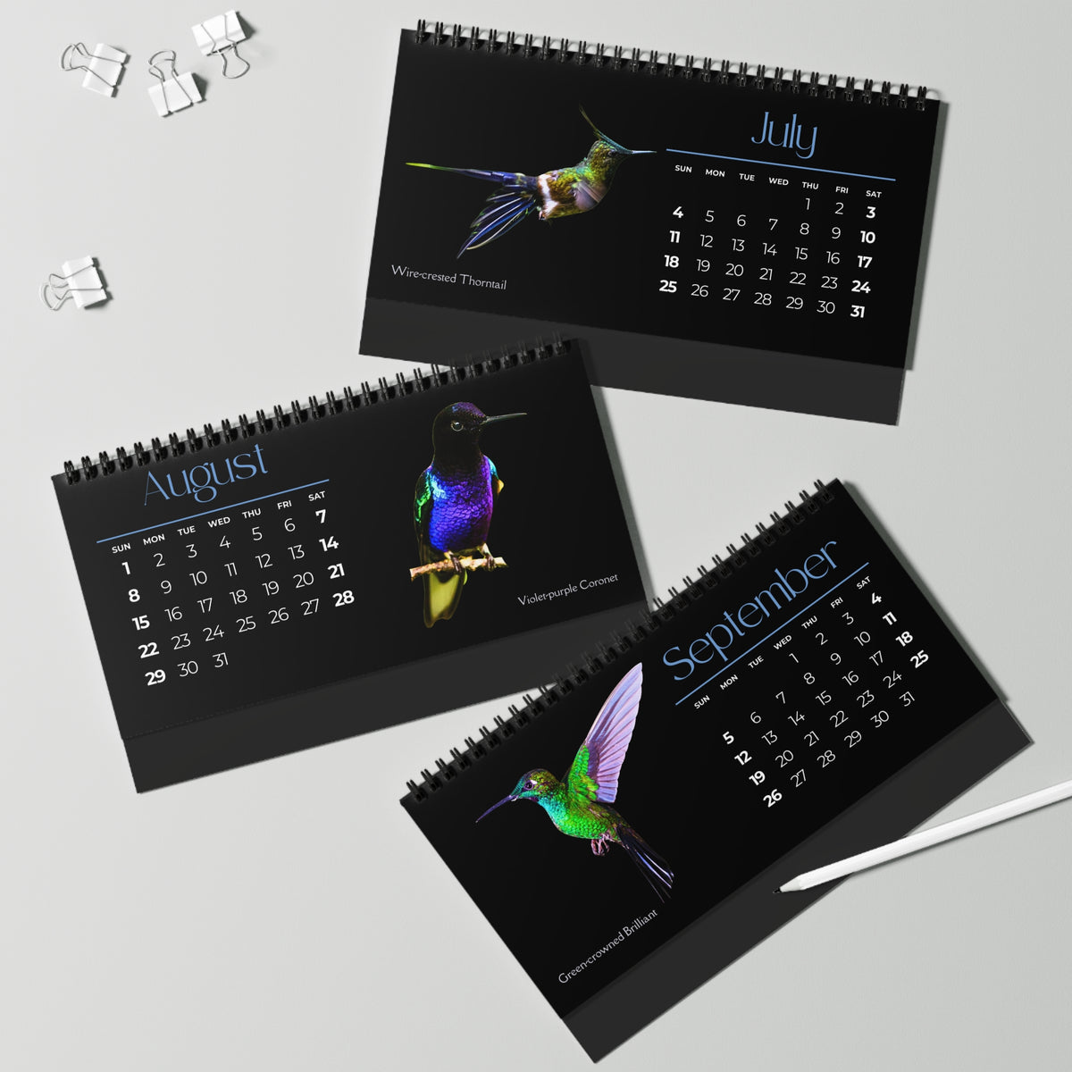 Real Hummingbirds of 2027 Desktop Calendar