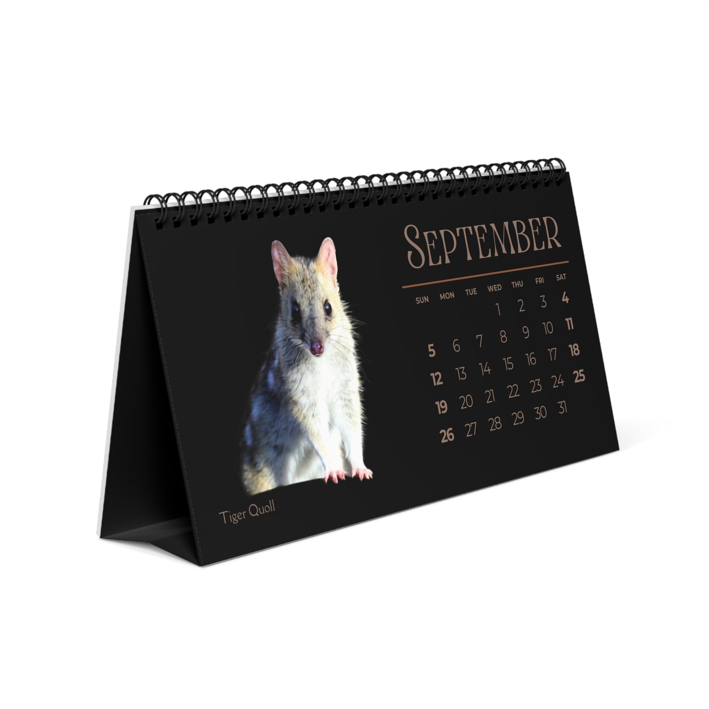 Magnificent Marsupials of 2027 Desktop Calendar