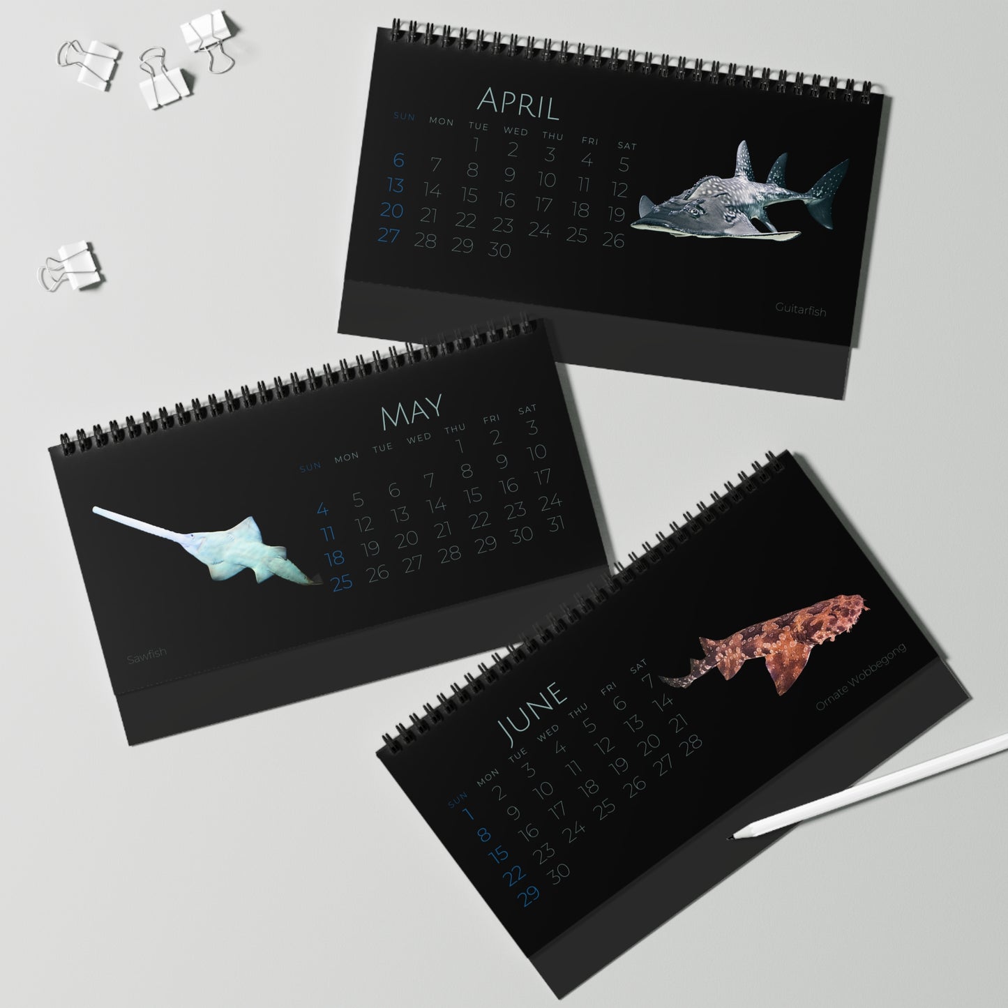 Sharks & Rays of 2025 Desktop Calendar