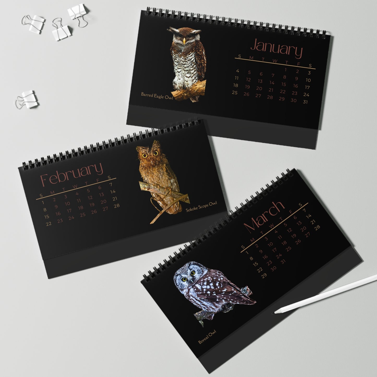 Owls of 2026 Desktop Calendar
