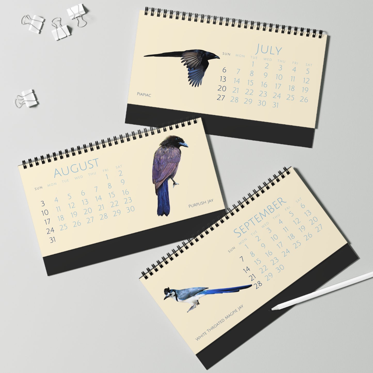 Cool Corvids of 2025 Desktop Calendar