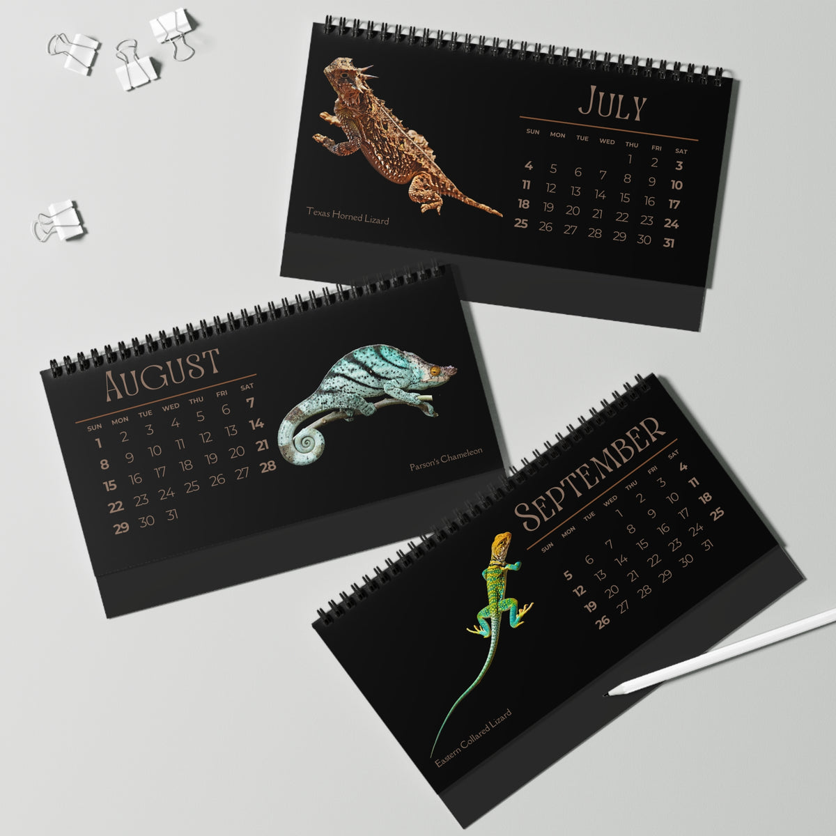 Legendary Lizards of 2027 Desktop Calendar