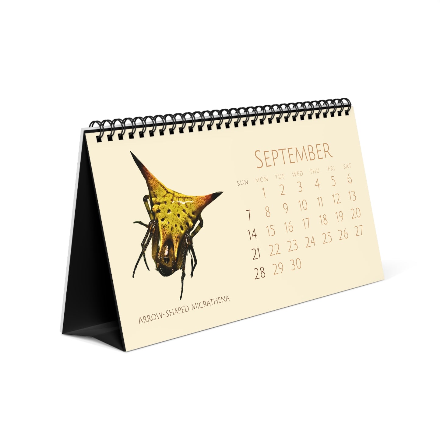 Spiders of 2025 Desktop Calendar