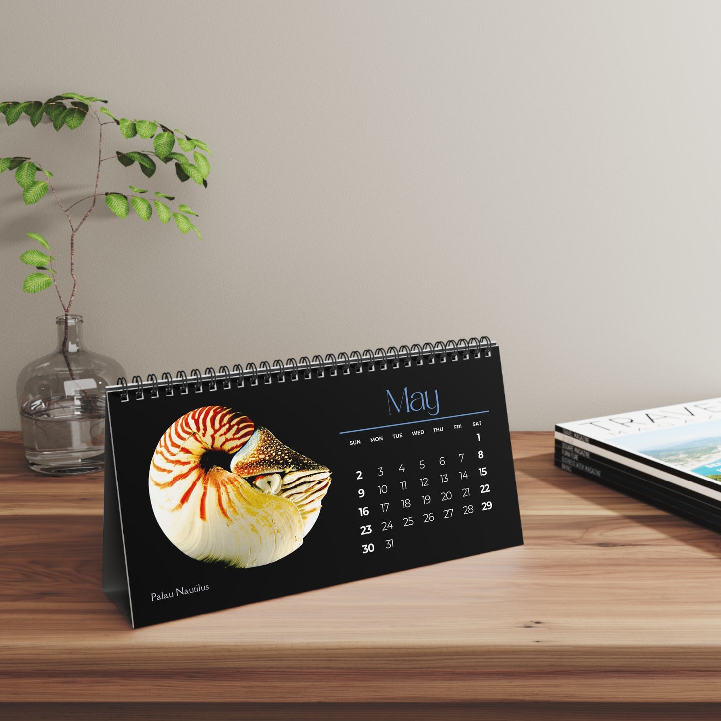 Cephalopods of 2027 Desktop Calendar