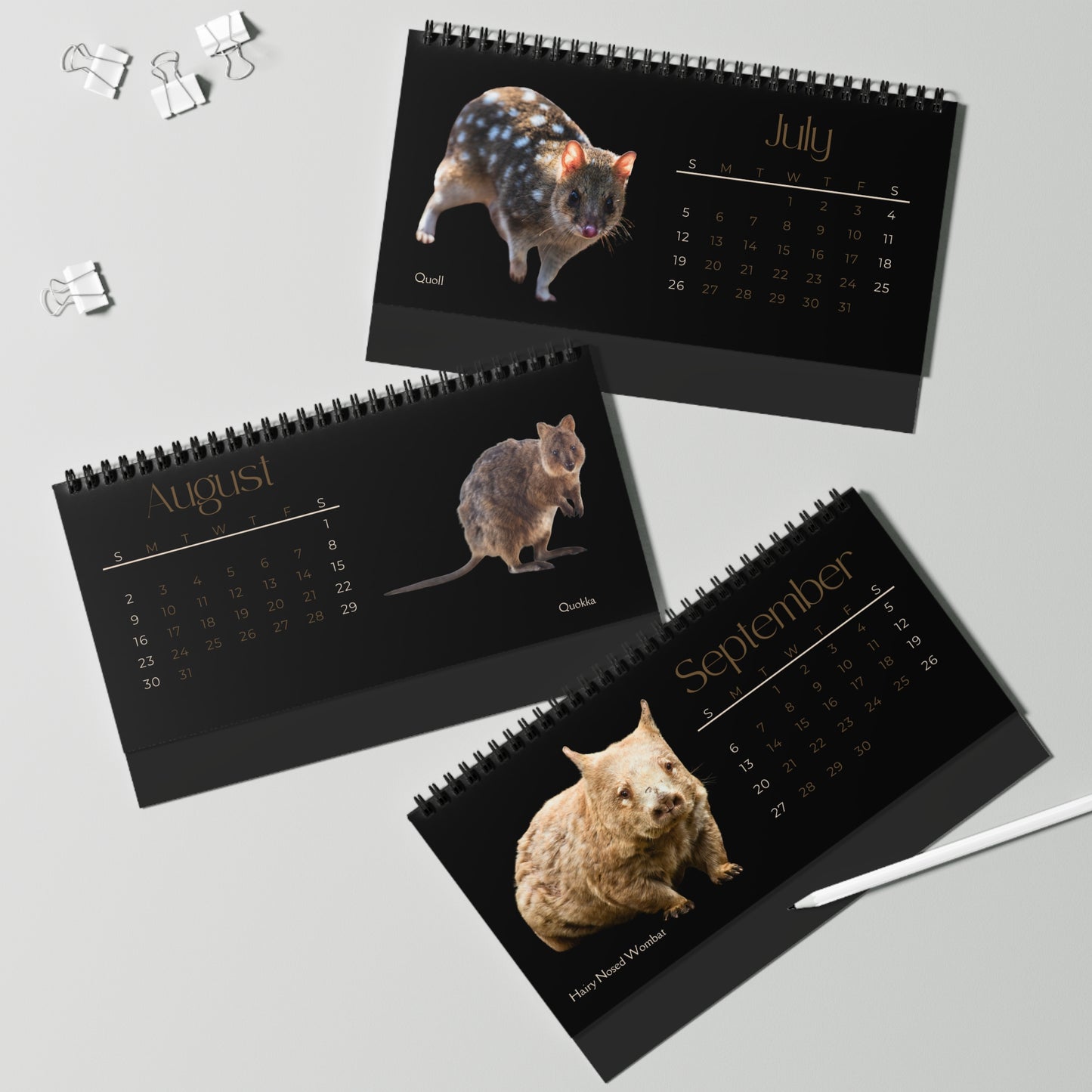 Magnificent Marsupials of 2026 Desktop Calendar