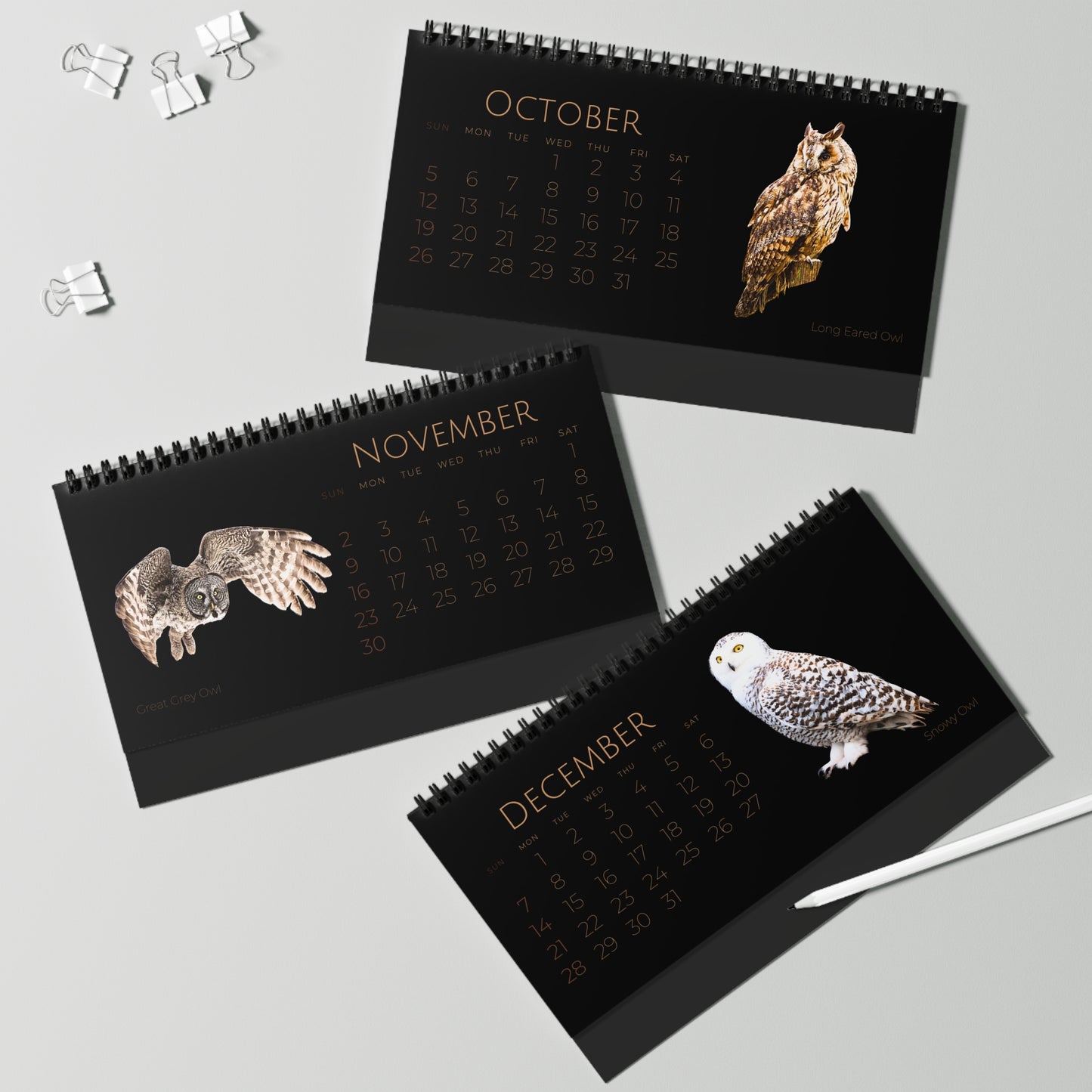 Owls of 2025 Desktop Calendar