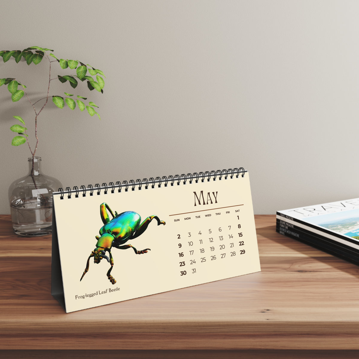 Incredible Insects of 2027 Desktop Calendar