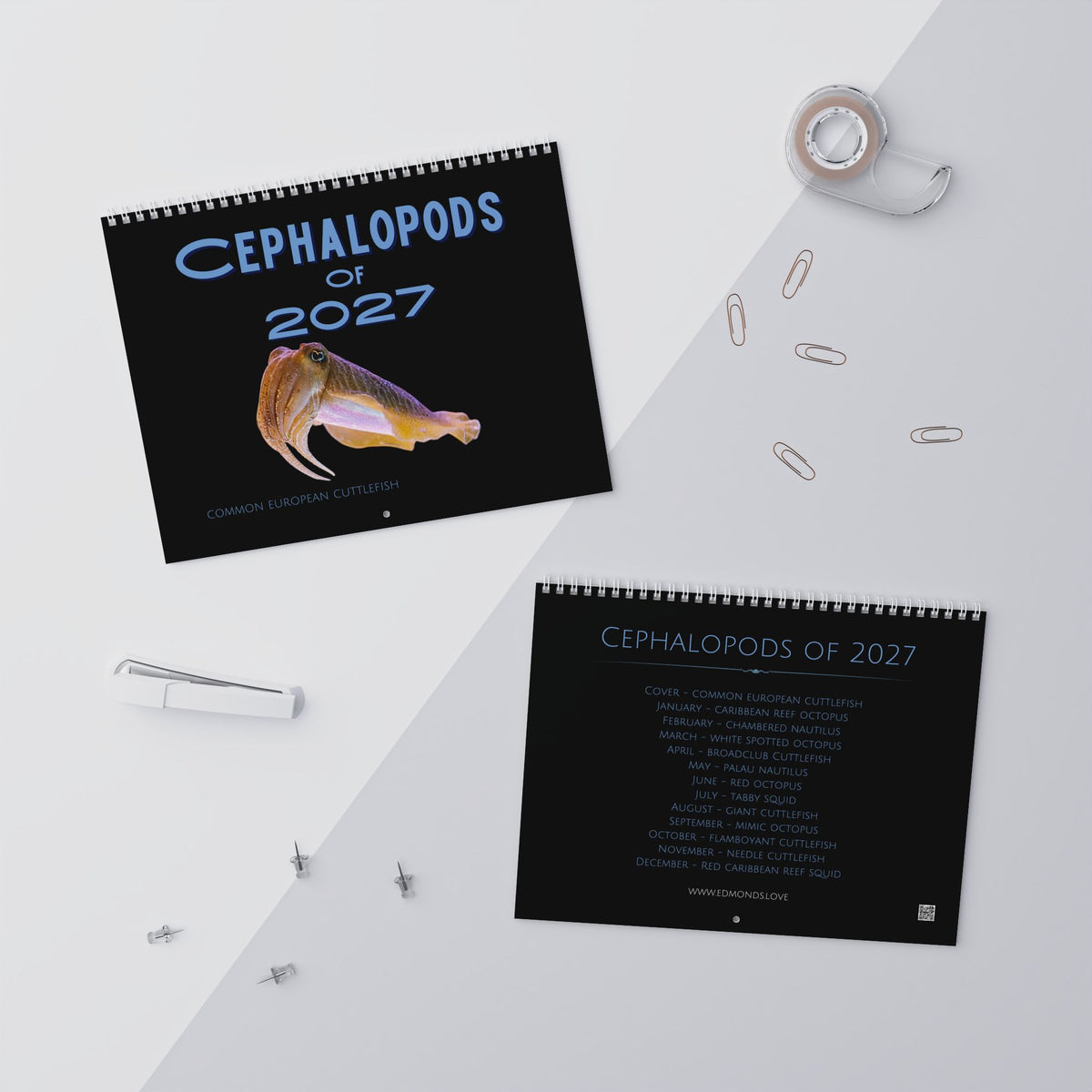 Cephalopods of 2027 Wall Calendars