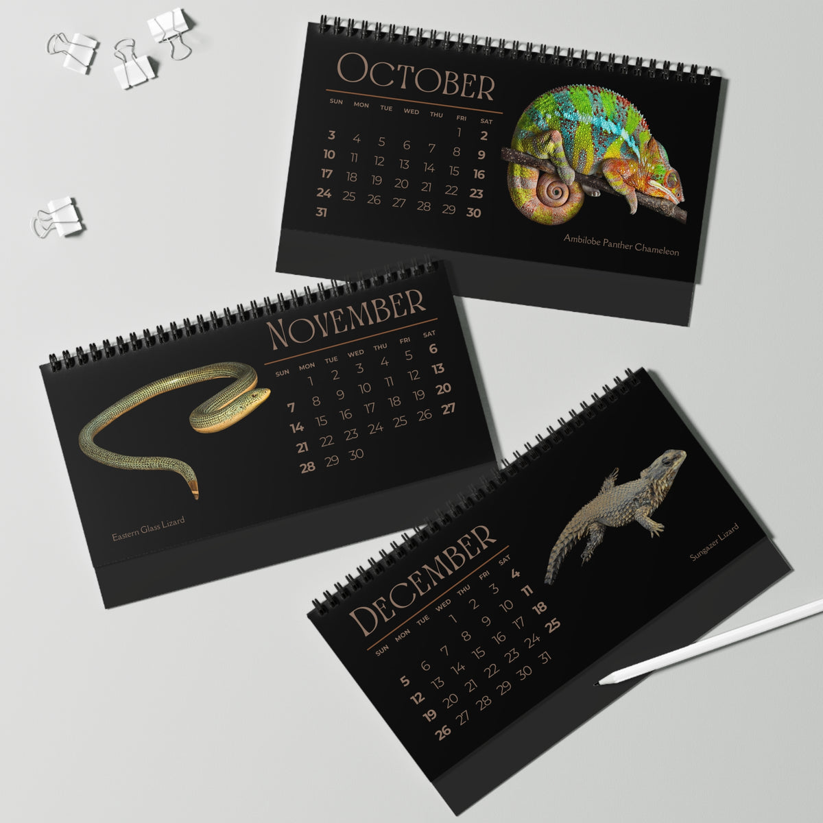 Legendary Lizards of 2027 Desktop Calendar