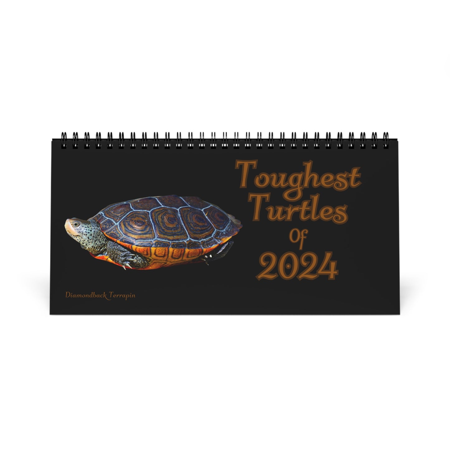 Toughest Turtles of 2024 Desk Calendar