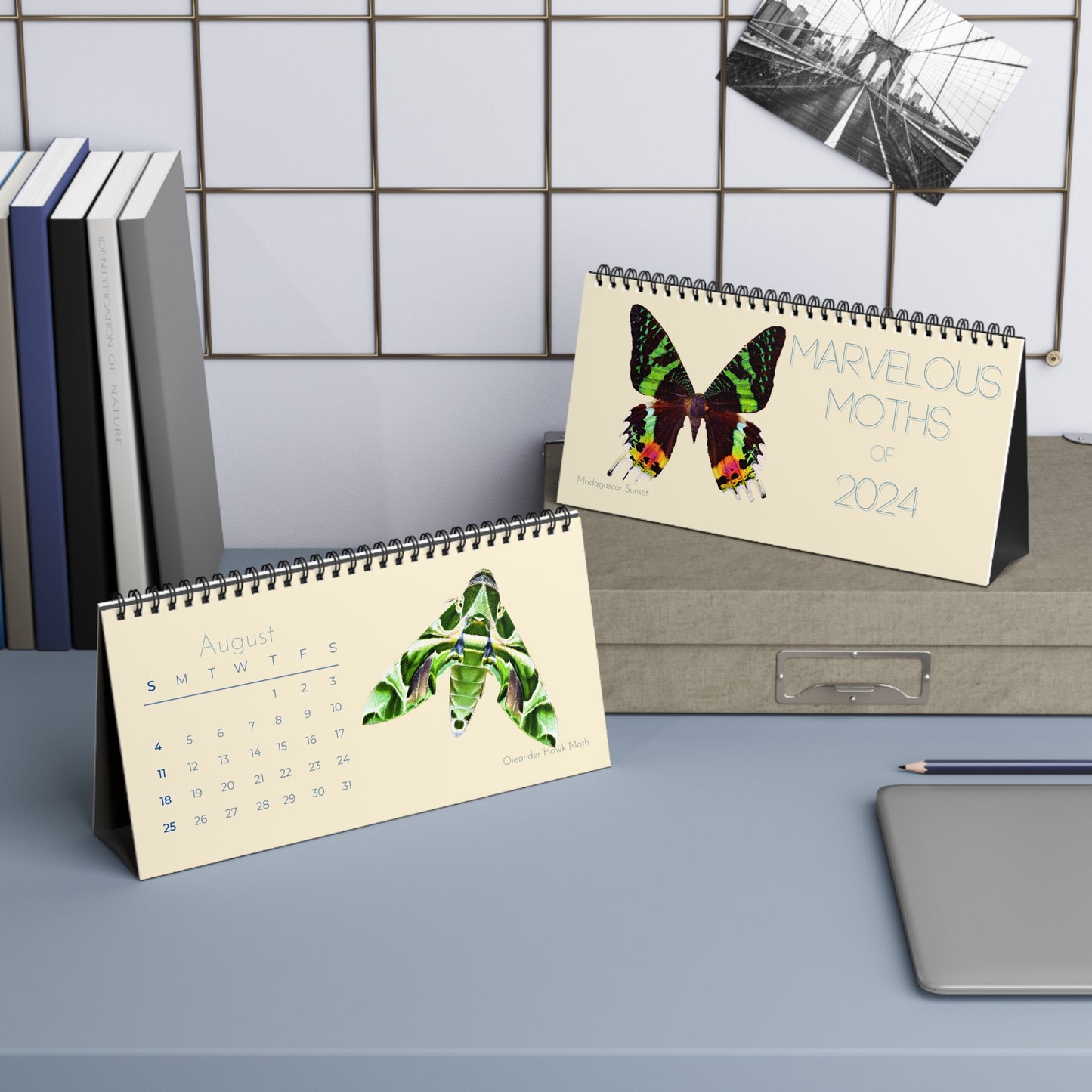 Marvelous Moths of 2024 Desk Calendar