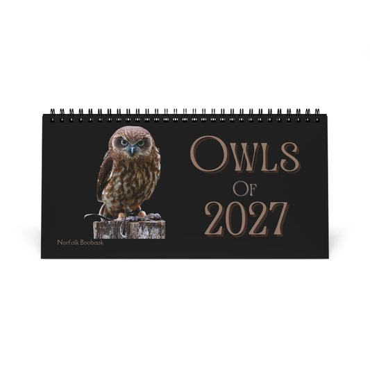 Owls of 2027 Desktop Calendar