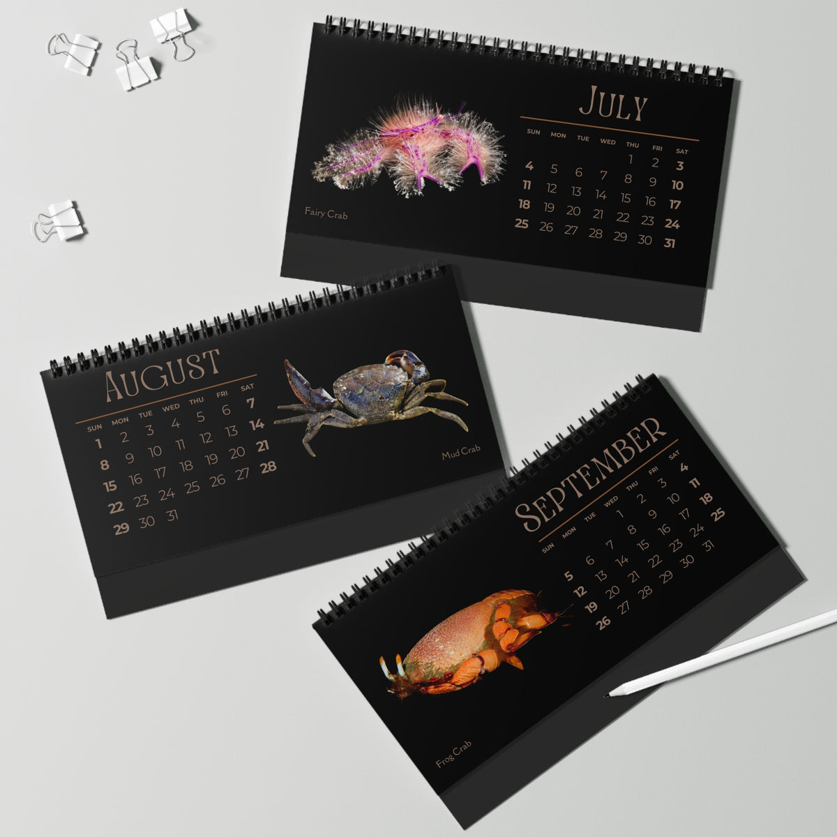 Captivating Crabs of 2027 Desktop Calendar