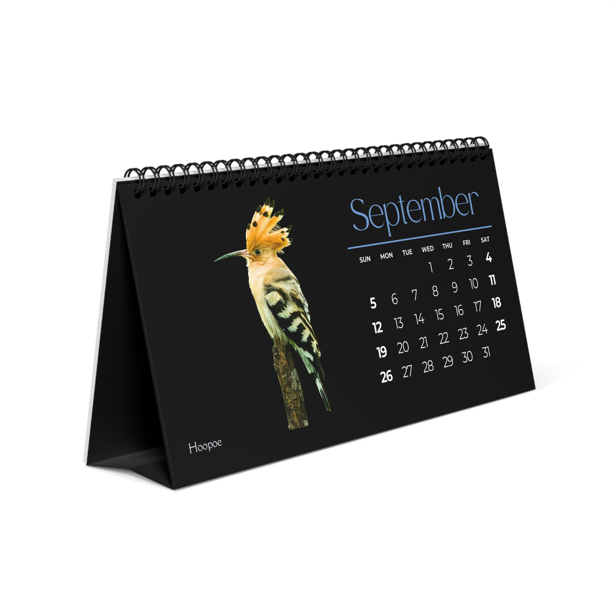 Brilliant Birds of 2027 Desktop Calendar